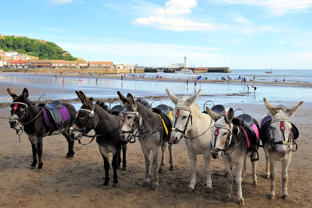 Families on the sand at Scarborough's South Bay beach, with the harbour and castle headland behind