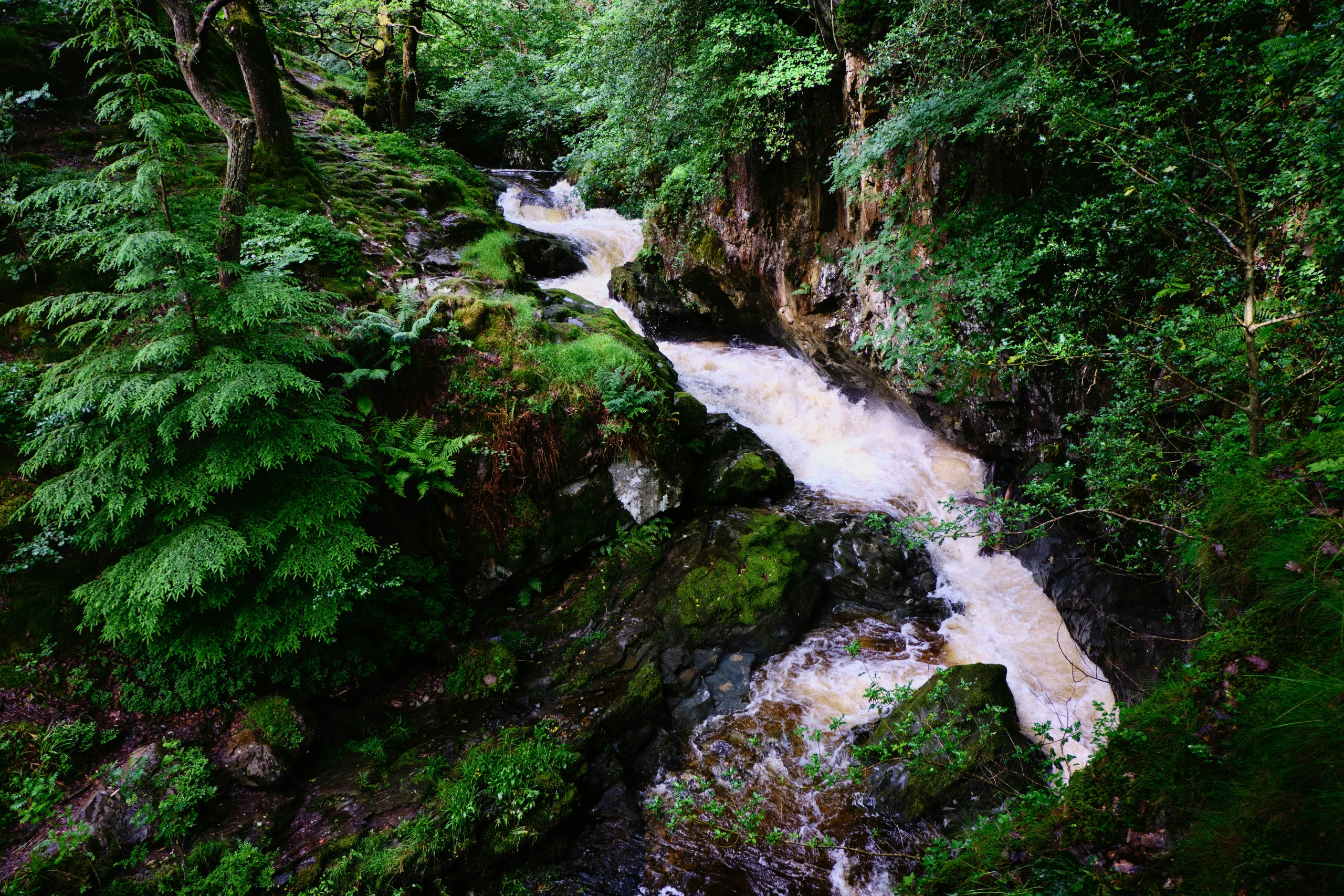 Aira Force waterfall dropping through a wooded gorge near Ullswater in the Lake District