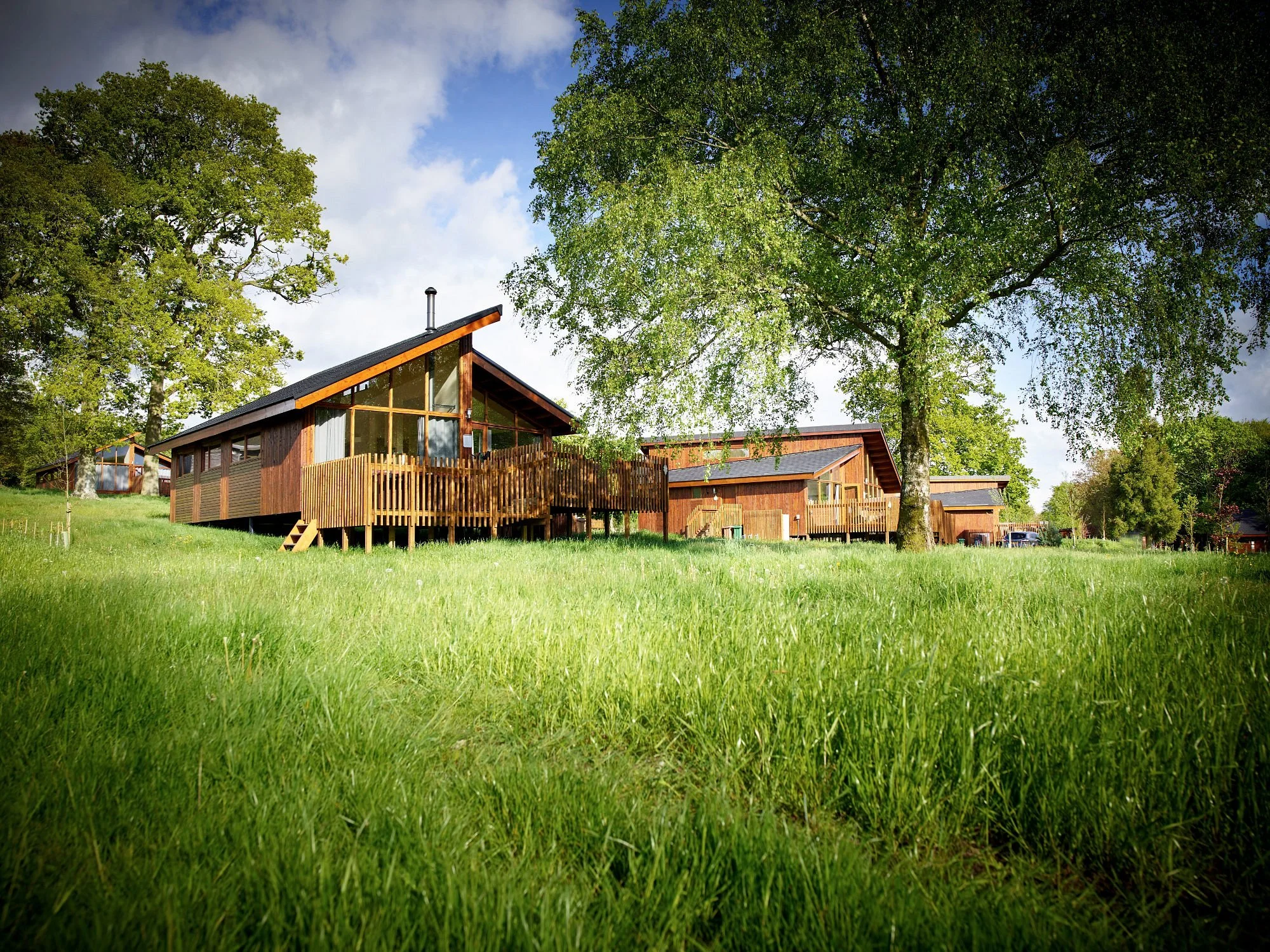 Forest Holidays Golden Oak Treehouse with hot tub in UK woodland