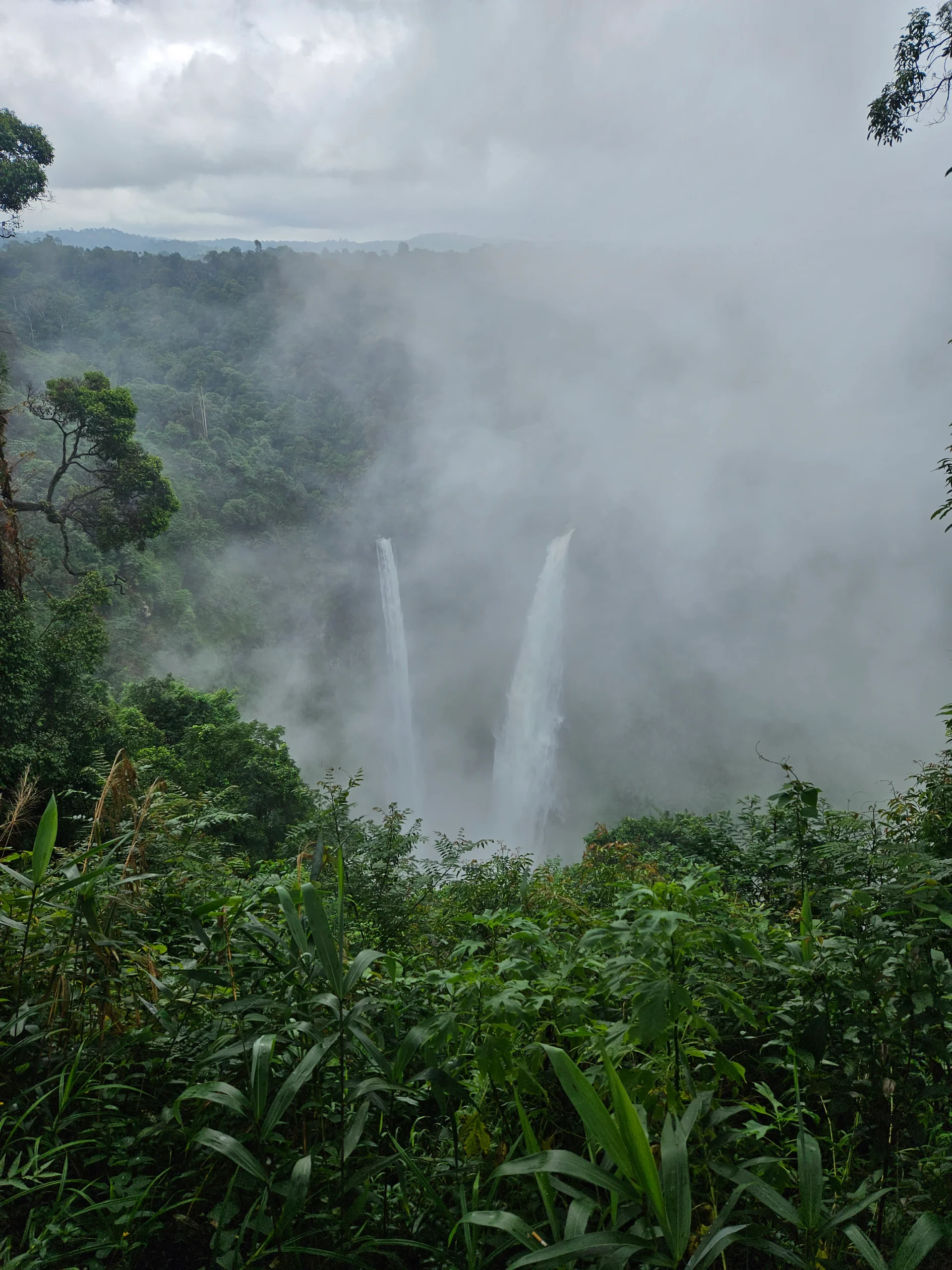 Two parallel waterfalls dropping into a misty forested gorge at Tad Fane, Bolaven Plateau, Laos