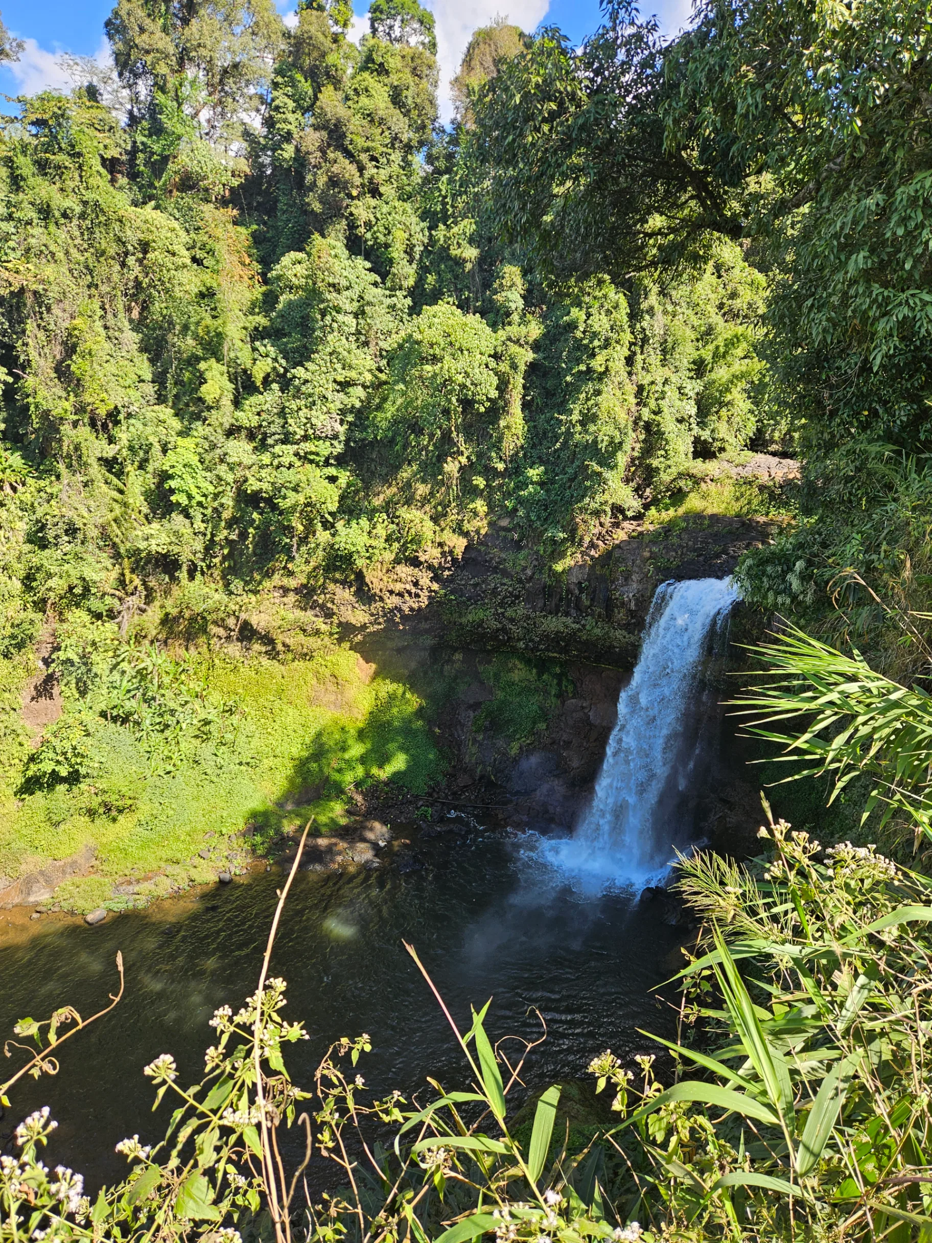 A waterfall seen from above, dropping into a dark pool surrounded by jungle